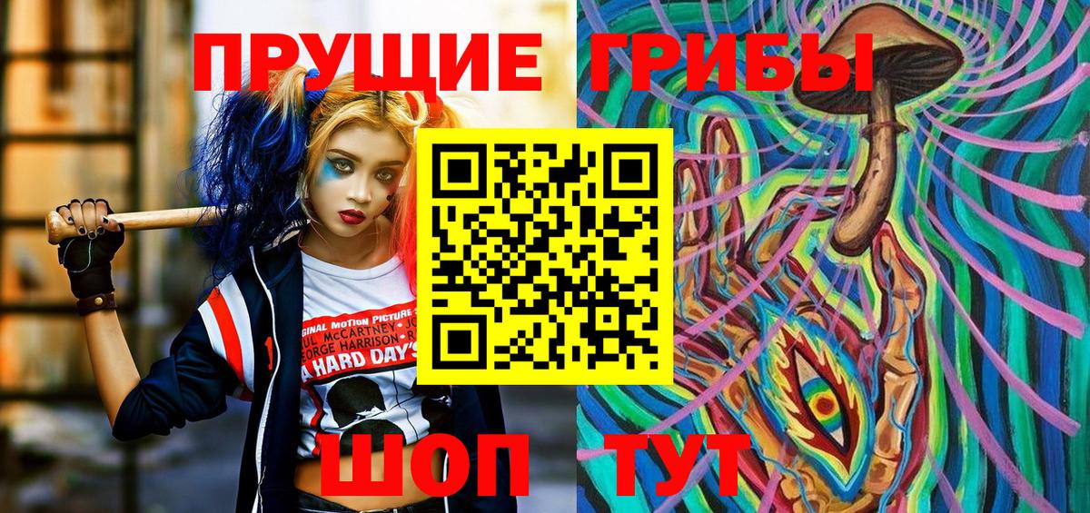 Галлюциногенные грибы GOLDEN TEACHER  закладки  Вход с VPN  Ногинск  Галлюциногенные грибы мицелий 