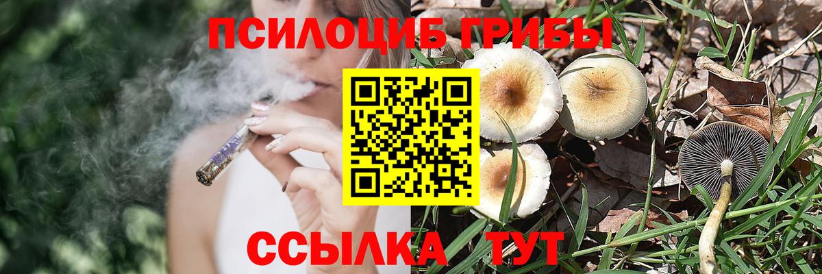 Псилоцибиновые грибы GOLDEN TEACHER Ногинск